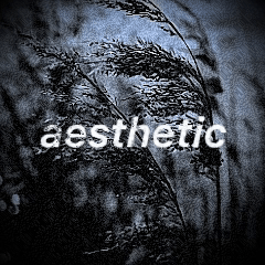 Aesthetic Logo